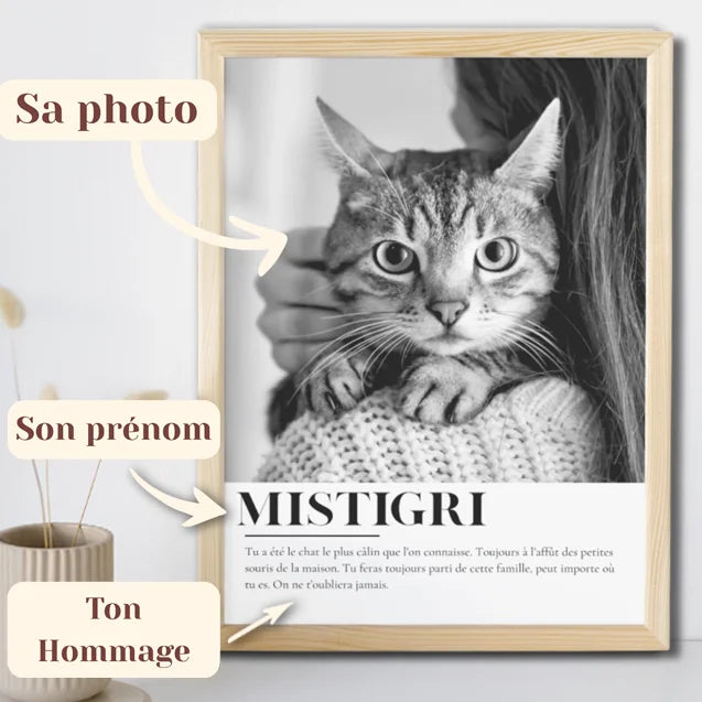 Cadre Mémorial
